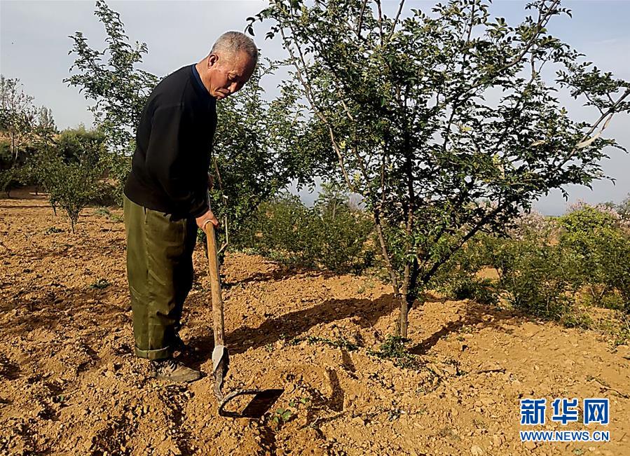 (新華全媒頭條·圖文互動)(4)春天里的5個“戰(zhàn)貧”瞬間——習近平總書記關于脫貧攻堅決策部署指引攻克最后的深貧堡壘