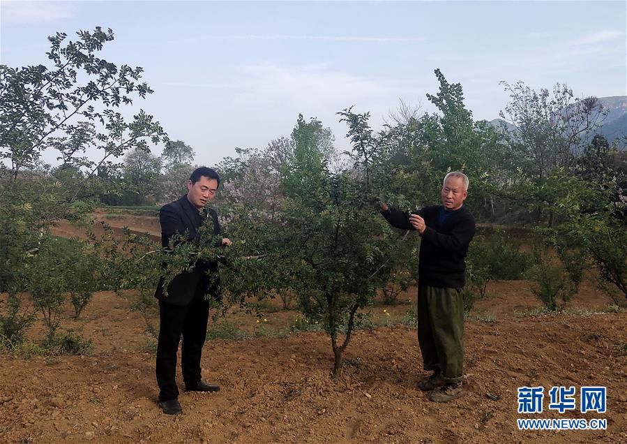 (新華全媒頭條·圖文互動)(6)春天里的5個“戰(zhàn)貧”瞬間——習近平總書記關于脫貧攻堅決策部署指引攻克最后的深貧堡壘