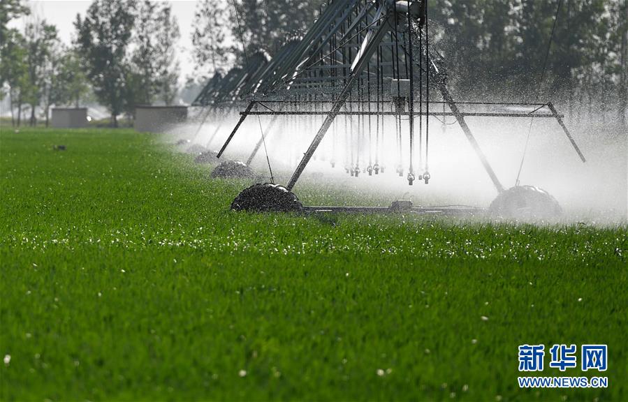 （在習(xí)近平新時代中國特色社會主義思想指引下——新時代新作為新篇章·習(xí)近平總書記關(guān)切事·圖文互動）（3）新農(nóng)事、新希望——夏收前田間新動態(tài)掃描