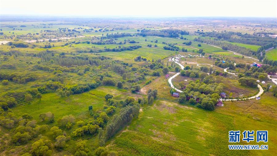 （在習(xí)近平新時(shí)代中國(guó)特色社會(huì)主義思想指引下——新時(shí)代新作為新篇章·習(xí)近平總書(shū)記關(guān)切事·圖文互動(dòng)）（1）綠意，在黃沙中鋪展——我國(guó)防沙治沙紀(jì)實(shí)