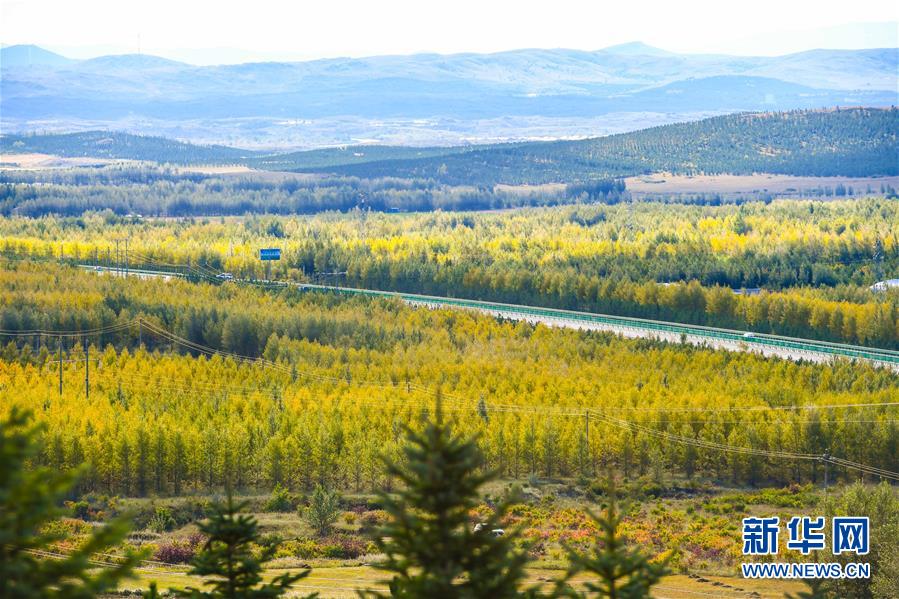 （在習(xí)近平新時(shí)代中國(guó)特色社會(huì)主義思想指引下——新時(shí)代新作為新篇章·習(xí)近平總書(shū)記關(guān)切事·圖文互動(dòng)）（7）綠意，在黃沙中鋪展——我國(guó)防沙治沙紀(jì)實(shí)