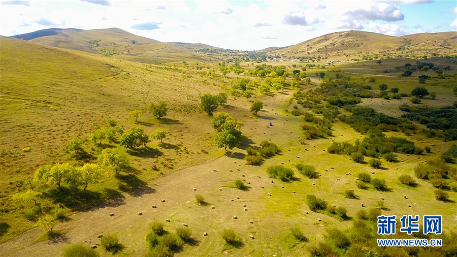 （在習(xí)近平新時(shí)代中國(guó)特色社會(huì)主義思想指引下——新時(shí)代新作為新篇章·習(xí)近平總書(shū)記關(guān)切事·圖文互動(dòng)）（4）綠意，在黃沙中鋪展——我國(guó)防沙治沙紀(jì)實(shí)