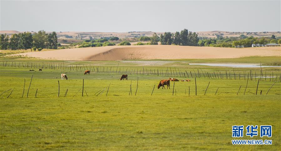 （在習(xí)近平新時(shí)代中國(guó)特色社會(huì)主義思想指引下——新時(shí)代新作為新篇章·習(xí)近平總書(shū)記關(guān)切事·圖文互動(dòng)）（9）綠意，在黃沙中鋪展——我國(guó)防沙治沙紀(jì)實(shí)