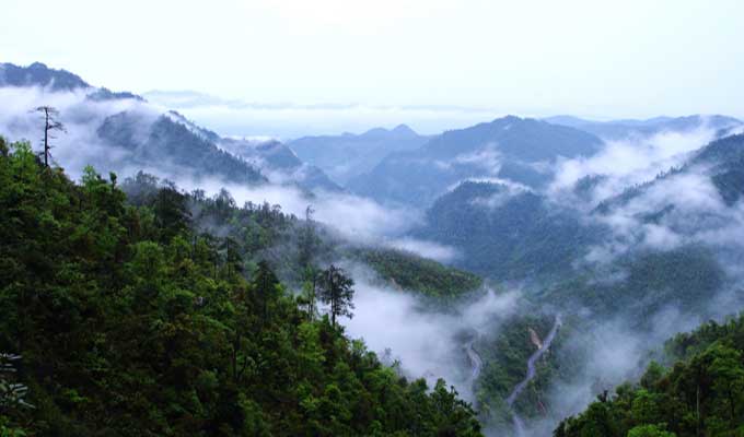 廣東乳源、廣東乳陽林場(chǎng)、云南華寧葫蘆口電站