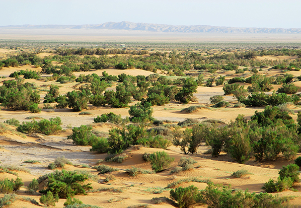 【長篇通訊】塞罕壩，京城綠色屏障的前世今生