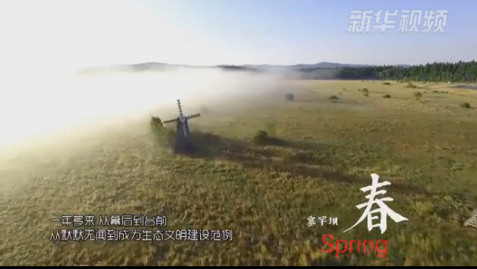 塞罕壩：那一抹綠色，走進越來越多人心里