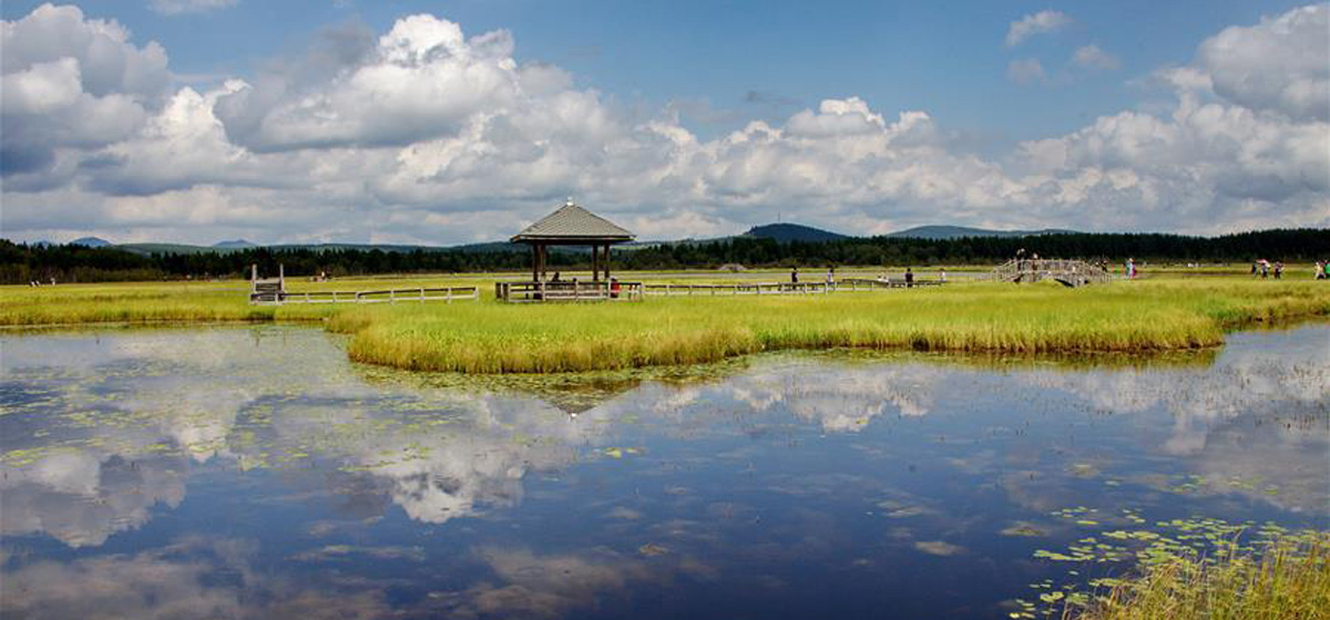 那一抹綠色，走進(jìn)越來越多人心里——河北塞罕壩續(xù)寫新時(shí)代綠色傳奇