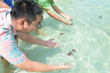 李嘉文:我在印尼當(dāng)“島主”