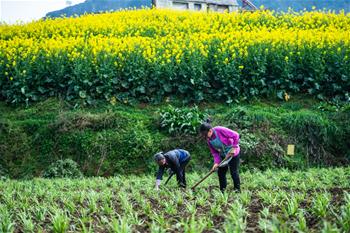 貴州六枝:春耕備耕忙