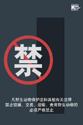 向非法野生動(dòng)物交易、濫食野生動(dòng)物陋習(xí)亮劍