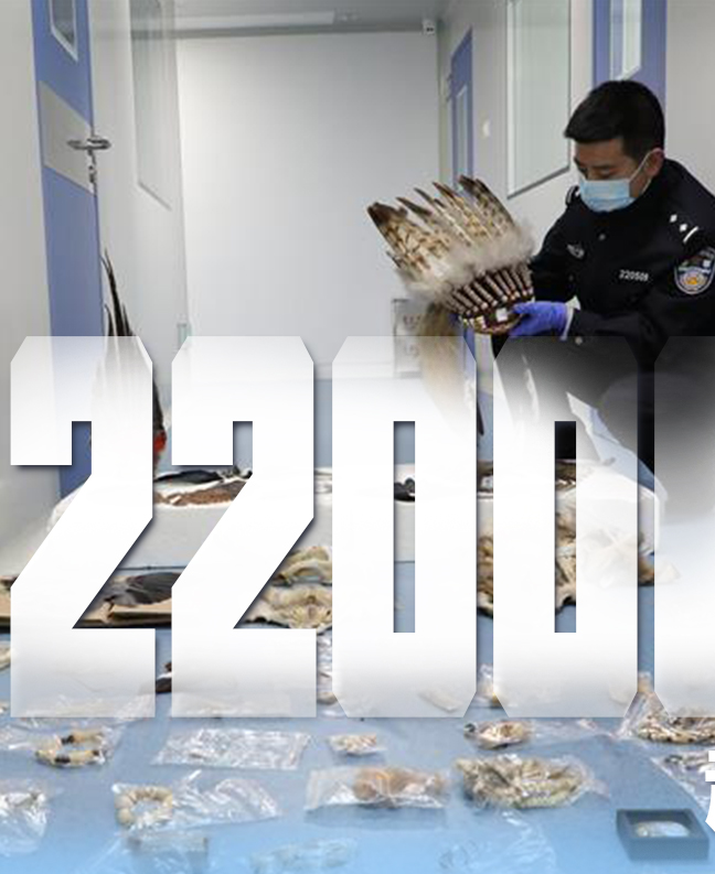 抗疫有“法”，就是這么給力！