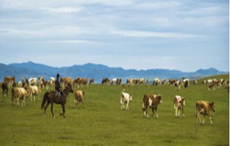 華能北方公司：奔小康，咱肯定能