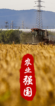 農(nóng)業(yè)強(qiáng)國是社會主義現(xiàn)代化強(qiáng)國的根基。