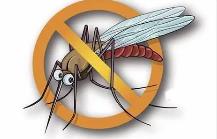 夏季，常見蚊蟲如何應(yīng)對