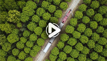 第十一集：你好！地球衛(wèi)士