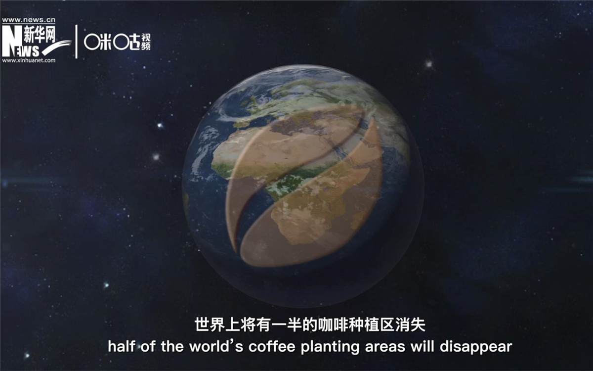 科學(xué)家預(yù)測(cè)到三十年后，世界上將有一半的咖啡種植區(qū)消失