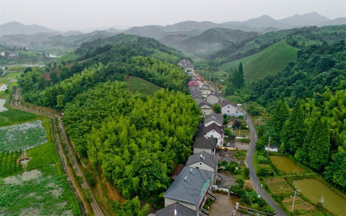 從2003年起，浙江省開展了“千村示范、萬村整治”工程