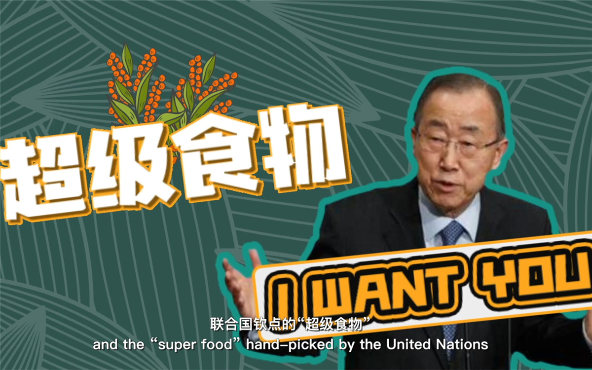 聯(lián)合國(guó)將藜麥視為抗擊饑餓的“超級(jí)食物”，大力推廣