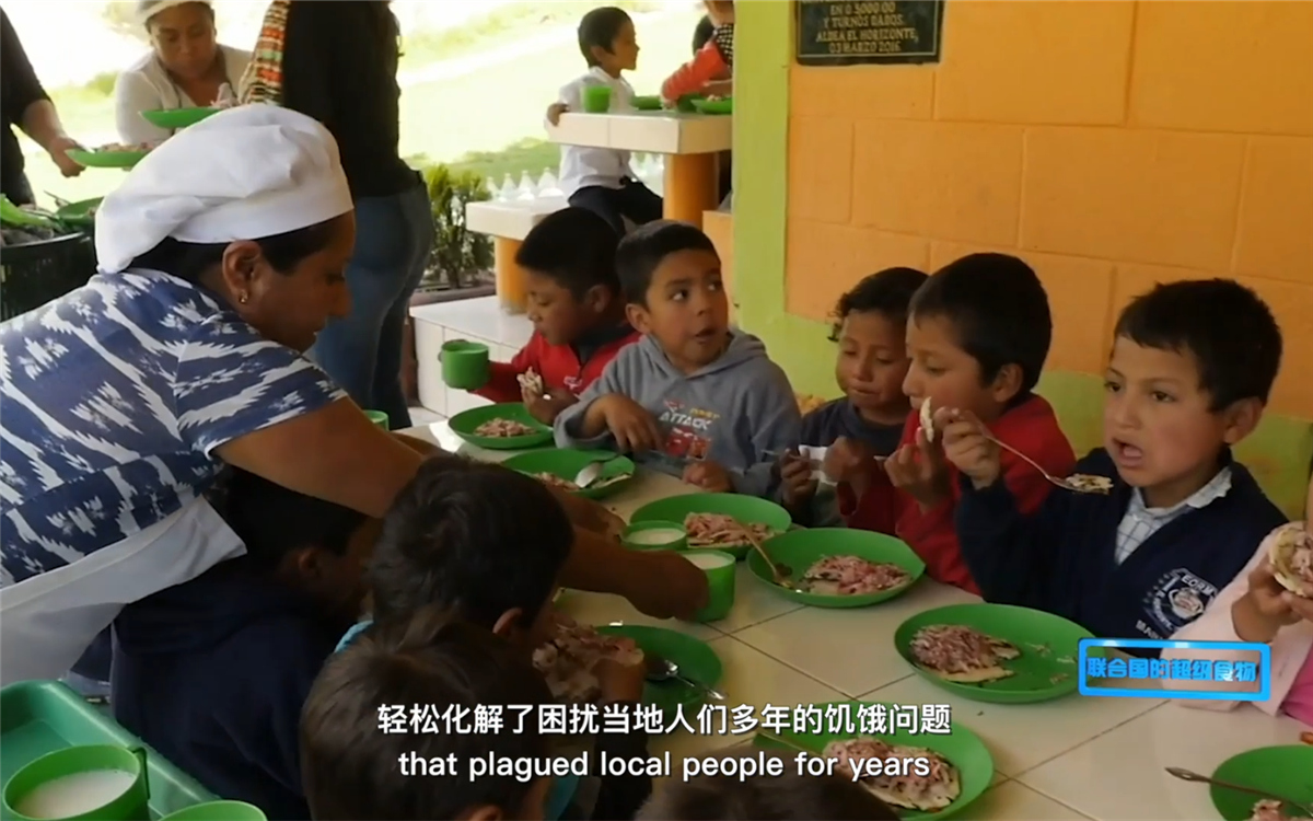 藜麥的蹤跡遍布北美、歐洲、亞洲和非洲多地