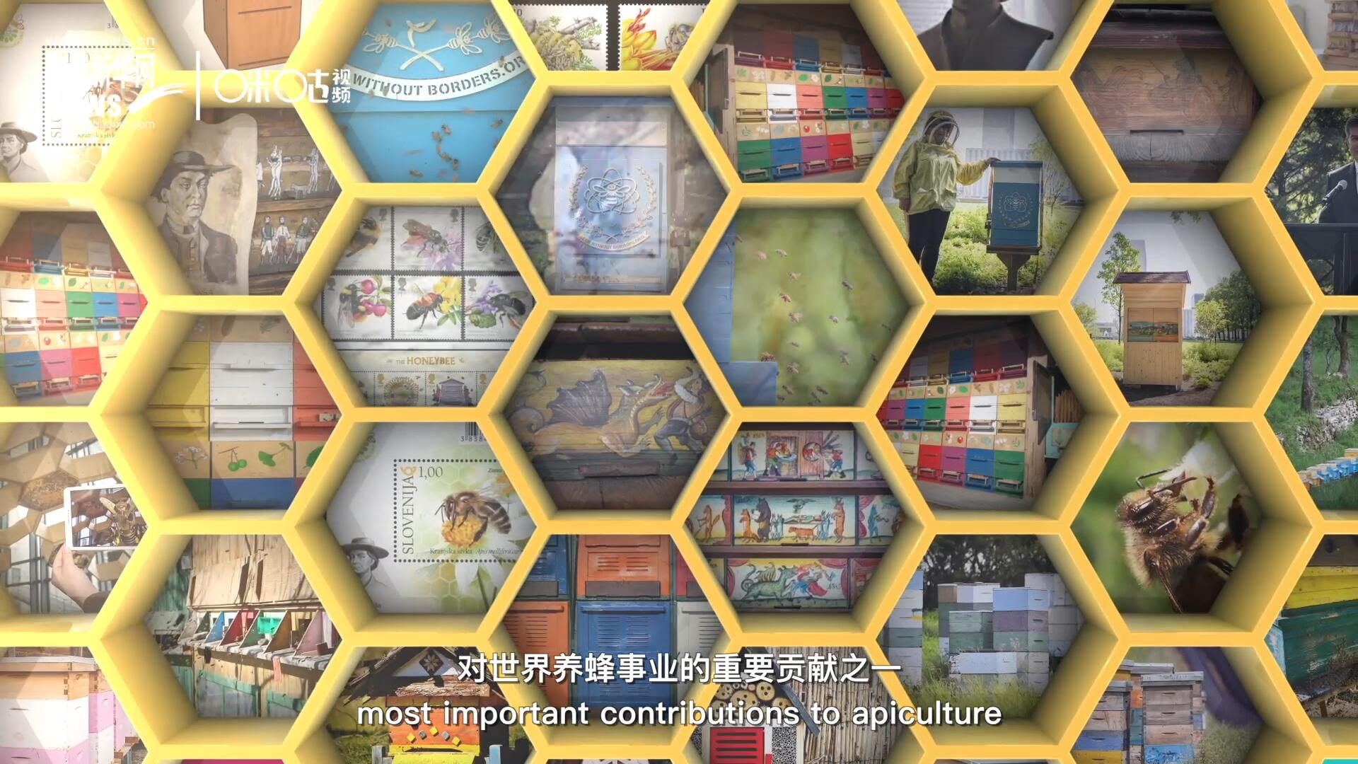 他開始用色彩豐富的畫作來裝飾蜂巢的前板，幫助不同蜂群按照習(xí)性和顏色順利找到自己的蜂巢