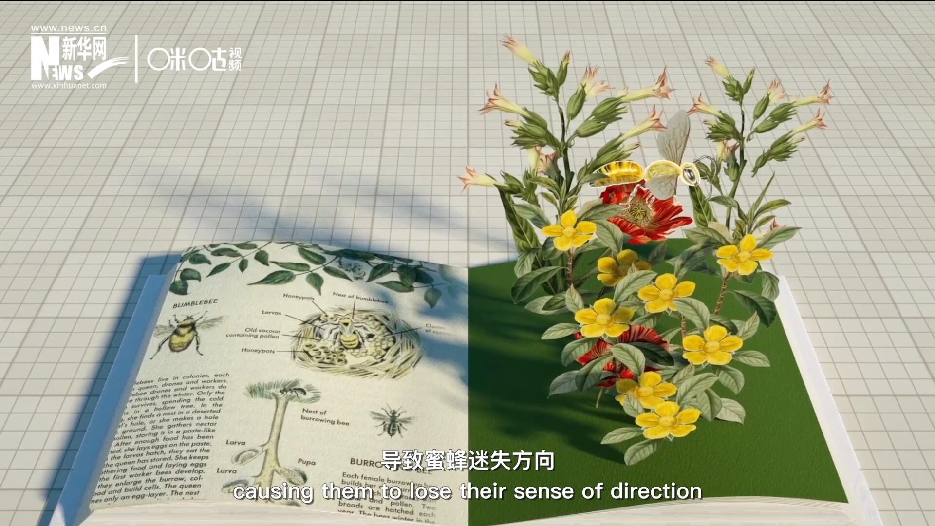 殺蟲劑會破壞蜜蜂的神經(jīng)系統(tǒng)，導(dǎo)致蜜蜂迷失方向，無法回到蜂房，還會降低蜜蜂的抵抗力