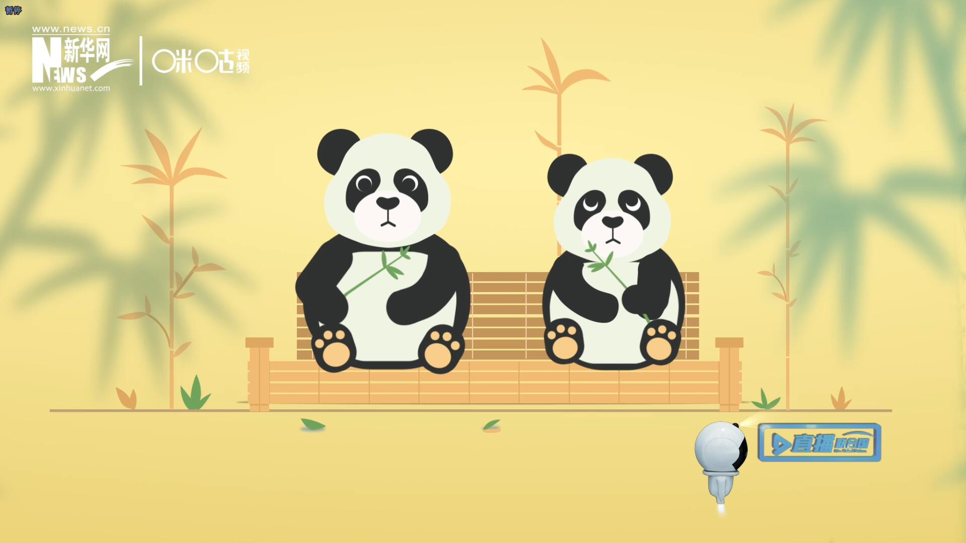 “哥哥你看，又有人來看我們了。”“有什么奇怪的，我們可是聯(lián)合國‘最萌’的大使??！”。