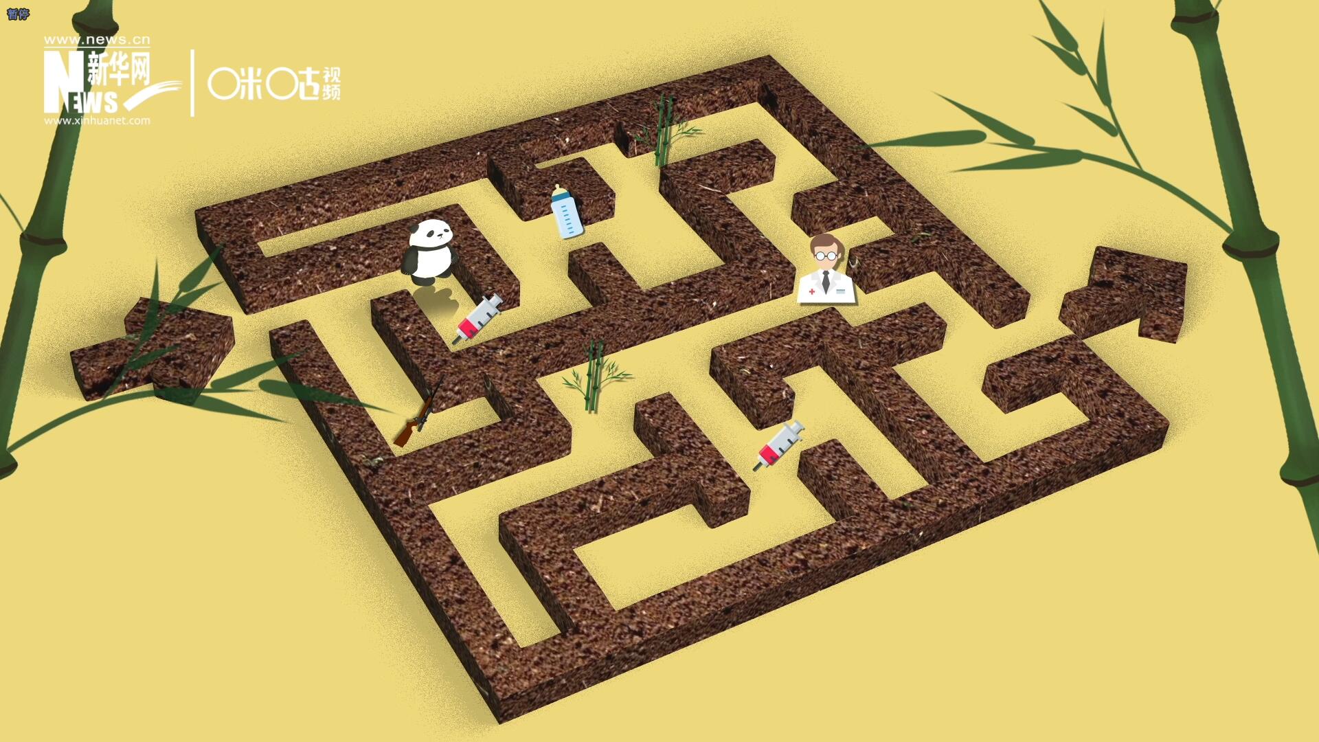 2016年，國際自然保護聯(lián)盟將大熊貓的物種瀕危等級，從“瀕危”下降到了“易危”。