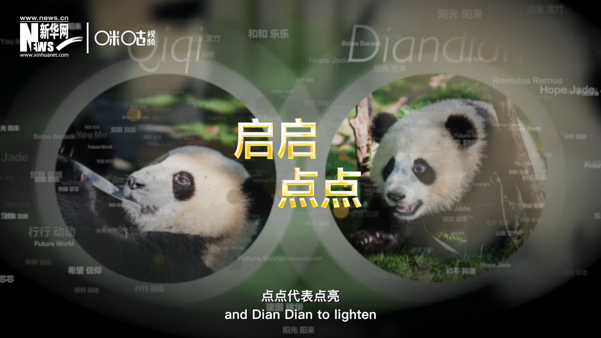 啟啟代表“啟發(fā)”，點點代表“點亮”，象征著2030年可持續(xù)發(fā)展議程 的“起點”，也象征著全球可持續(xù)發(fā)展路徑的新起點。