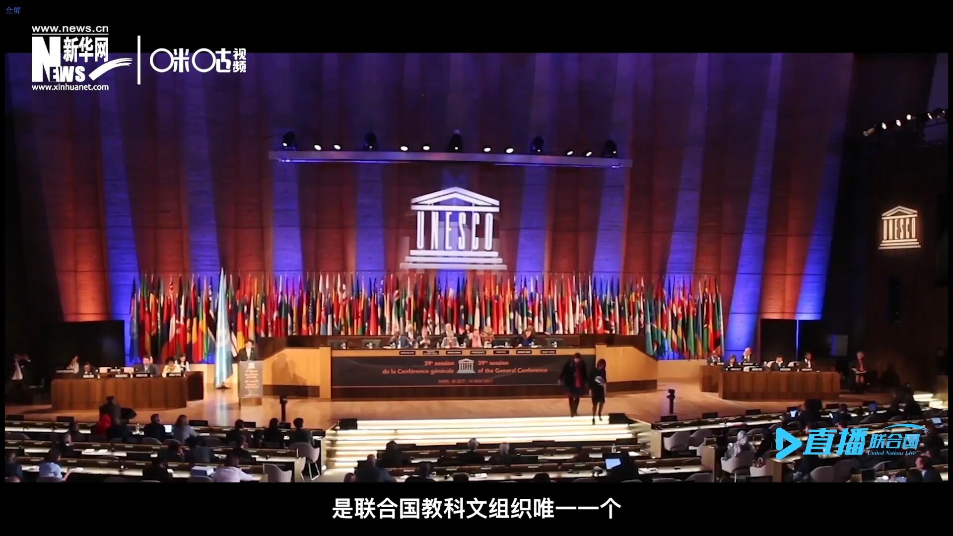 民間藝術(shù)國際組織成立于1979年，是聯(lián)合國教科文組織唯一一個(gè)以保護(hù)和挖掘國際民間藝術(shù)為工作中心的國際機(jī)構(gòu)。