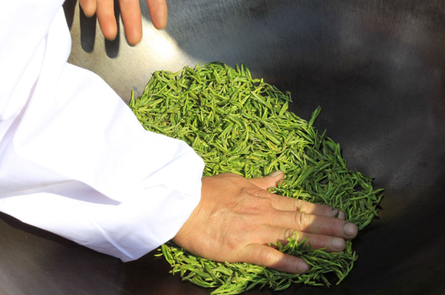 好茶占盡天時地利，炒茶師月入三五萬