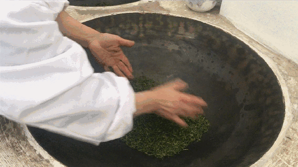 申遺，把雨花茶手藝傳承下去