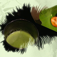 熱茶與伏天的關系，只有清涼