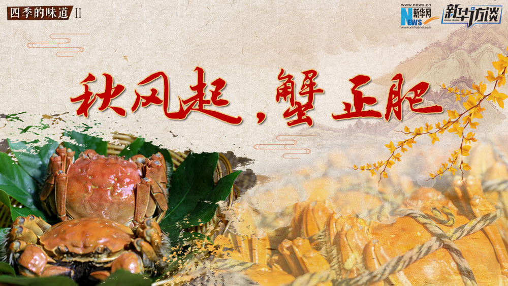 秋風起，蟹正肥