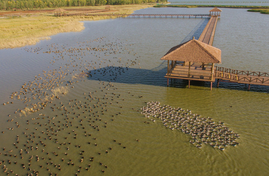 新華微評(píng)·學(xué)習(xí)路上：生態(tài)興，百業(yè)旺