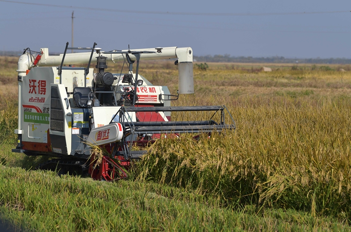 新華社評論員:穩(wěn)固耕地基本盤，打好種業(yè)翻身仗