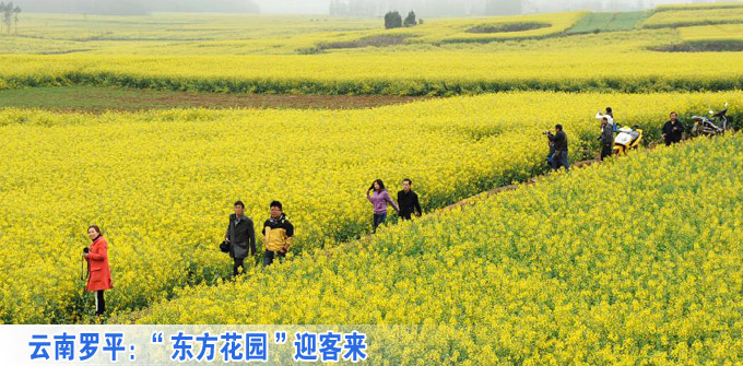 云南羅平:“東方花園”迎客來(lái)