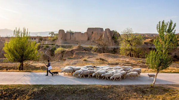 追夢足跡｜上馬圈：鐵馬冰河，黃土斑駁