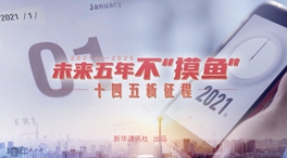 未來五年，不“摸魚”