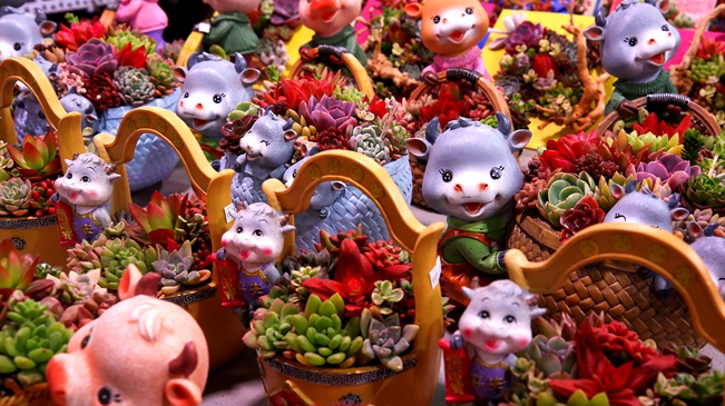 就地過年 你準(zhǔn)備好了嗎？