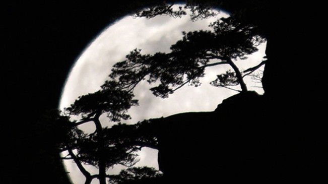 太驚艷！明月奇松 夢(mèng)幻同框