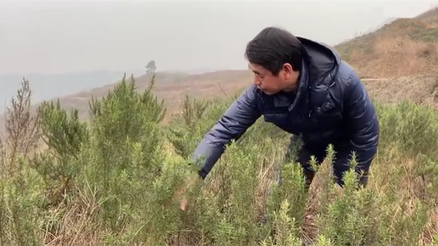 新春走基層｜脫貧后，駐村扶貧隊(duì)長(zhǎng)在干啥？