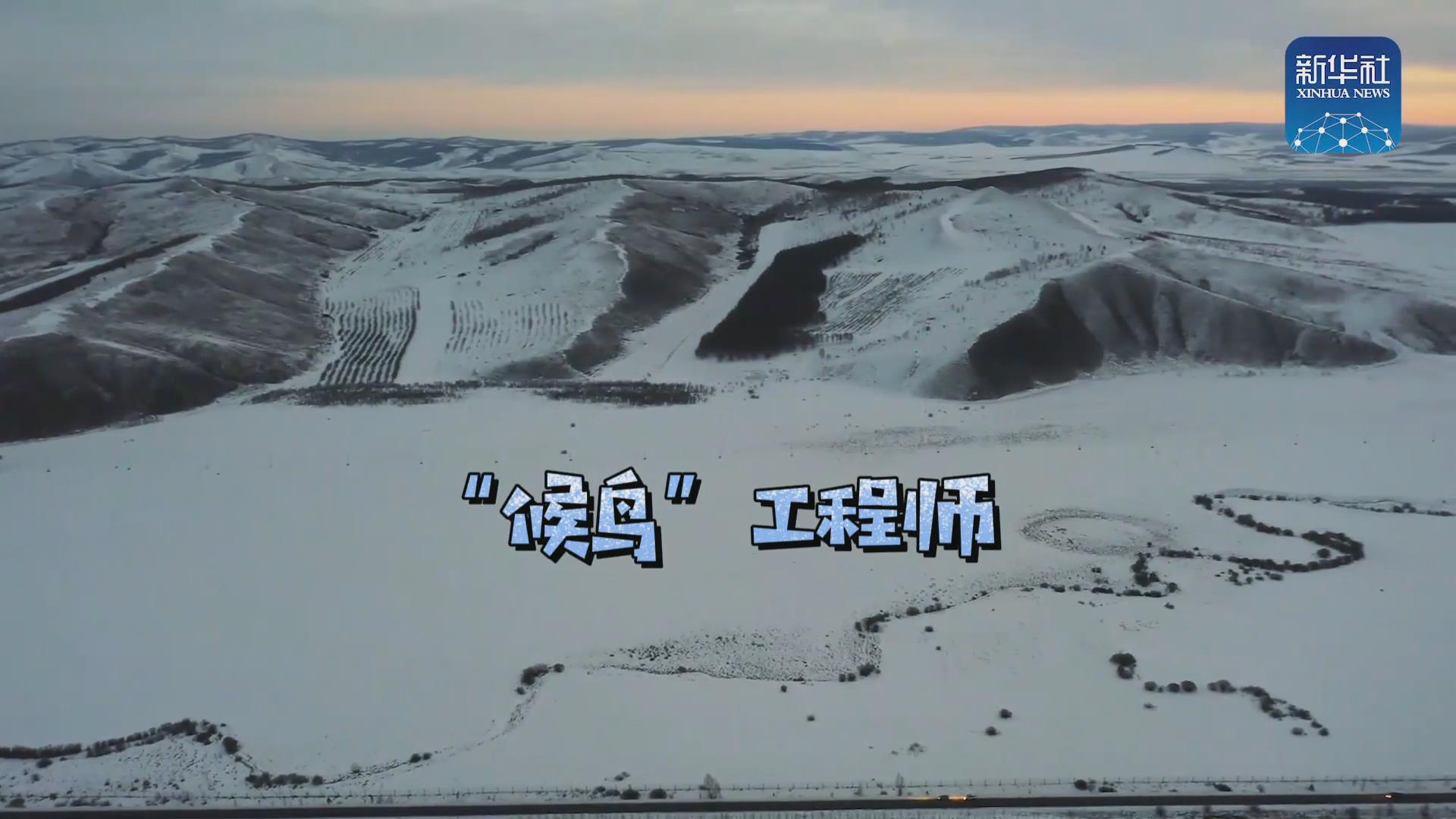 我們?cè)诒寂茇宦废虮?！他是逆行?ldquo;候鳥(niǎo)”