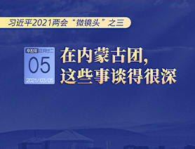 習(xí)近平2021兩會“微鏡頭”之三 3月5日 在內(nèi)蒙古團，這些事談得很深