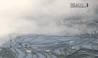 云南紅河：漫天云海鎖梯田 春耕場(chǎng)景美如畫(huà)