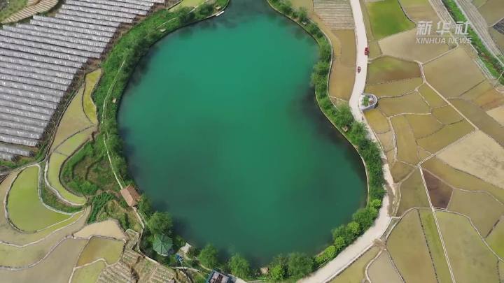 稻田新插，這里的山村美翻了！