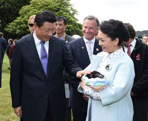 11月18日，國家主席習近平在澳大利亞塔斯馬尼亞州與朗塞斯頓市斯科奇－歐克伯恩小學的小學生共同植樹。這是習近平和夫人彭麗媛植樹后撫摸袋獾。新華社記者 馬占成 攝