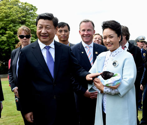 11月18日，國家主席習近平在澳大利亞塔斯馬尼亞州與朗塞斯頓市斯科奇－歐克伯恩小學的小學生共同植樹。這是習近平和夫人彭麗媛植樹后撫摸袋獾。新華社記者 饒愛民 攝