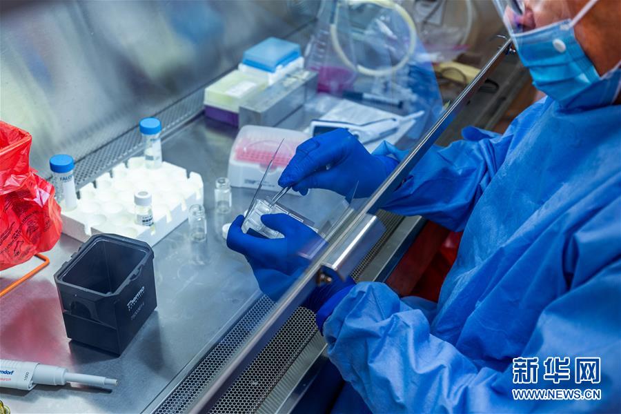 (新華全媒頭條·圖文互動)(3)為人類戰(zhàn)疫打造最有力的武器——全球合力加速研發(fā)新冠疫苗