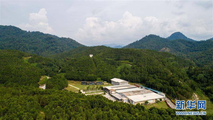 (第三屆進(jìn)博會(huì)·圖文互動(dòng))(1)專訪:進(jìn)博會(huì)提供了一個(gè)共享中國(guó)發(fā)展機(jī)遇的平臺(tái)