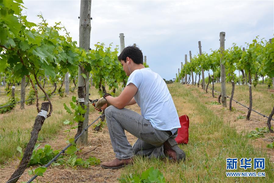 (第三屆進博會·圖文互動)(7)專訪:進博會是了解中國市場的好機會——訪澳大利亞諾瓦維塔葡萄酒集團創(chuàng)始人卡臣